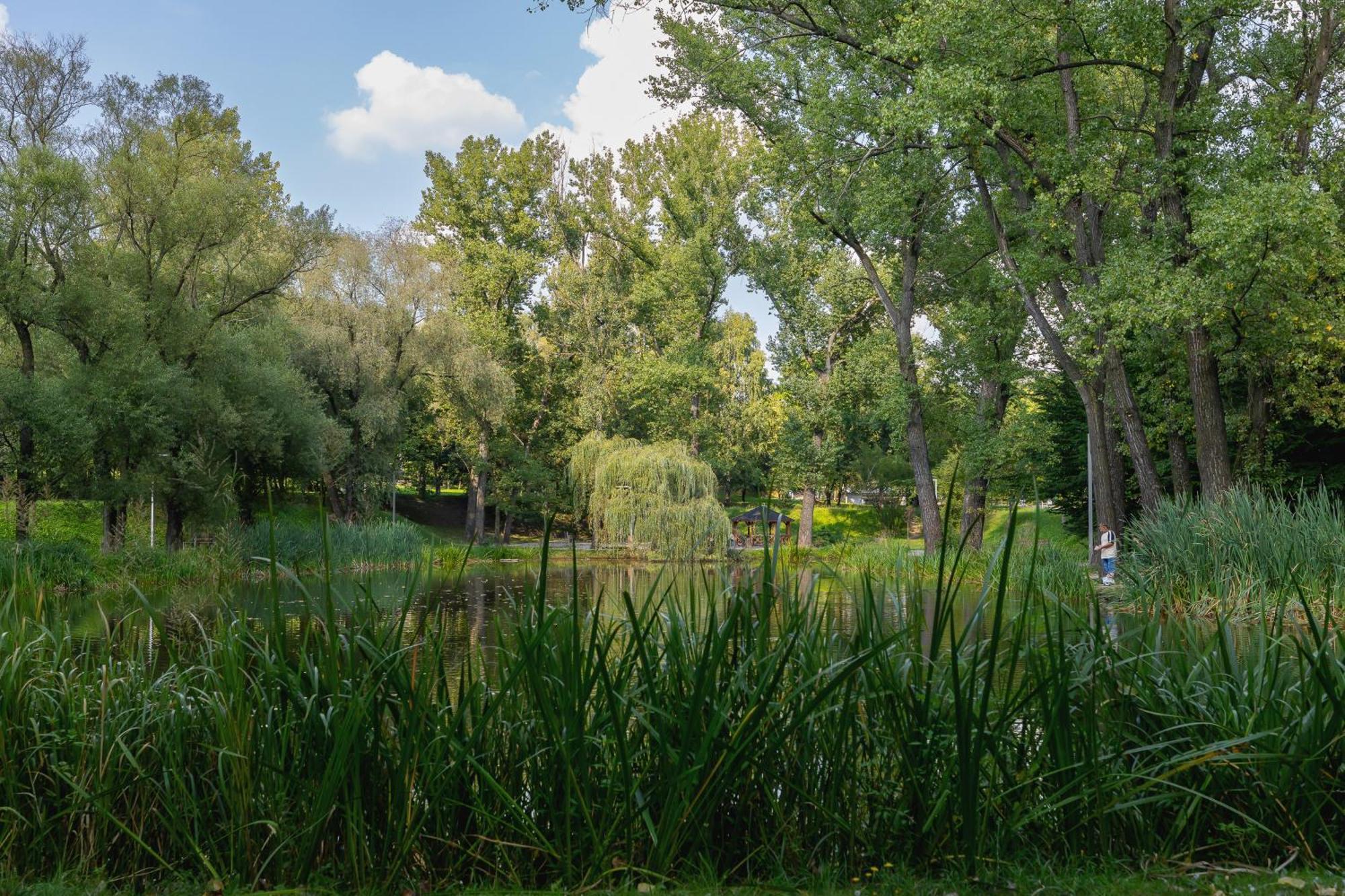 Tysiaclecia Next To Park Slaski By Renters
